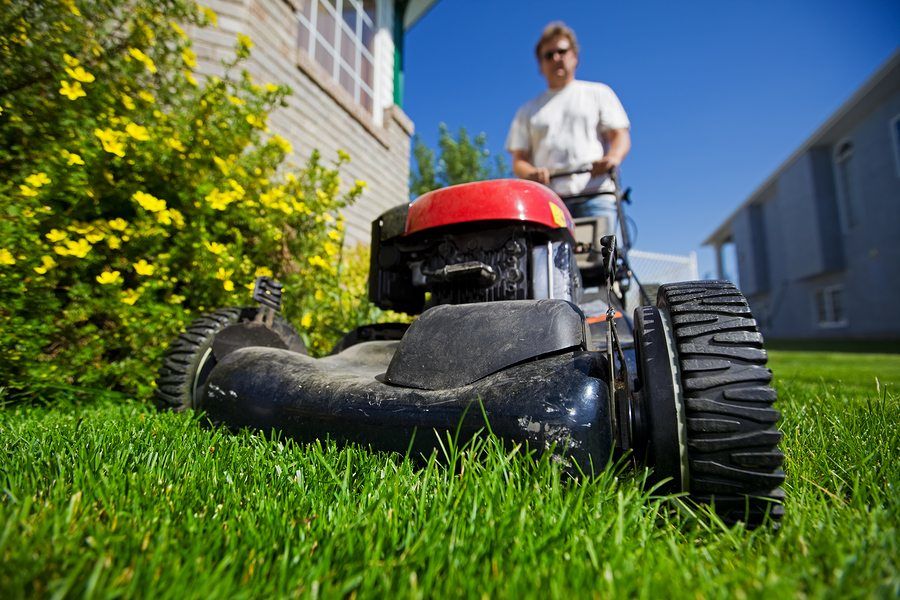 gardening sydney business