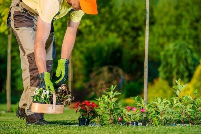 Benefits-of-Gardening benefits of gardening