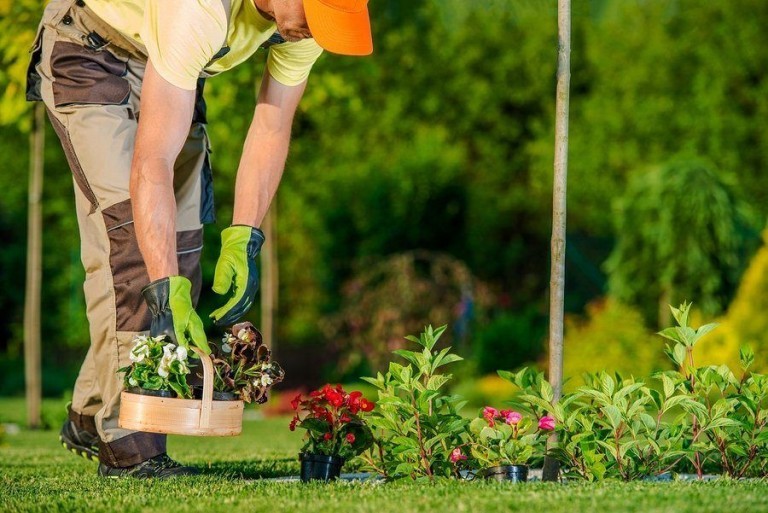 benefits of gardening