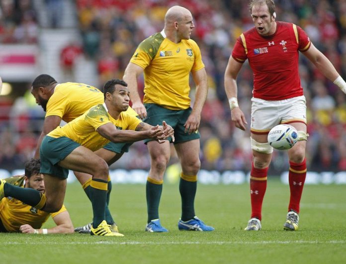 The Wallabies in 2017 a year to forget australian rugby wallabies