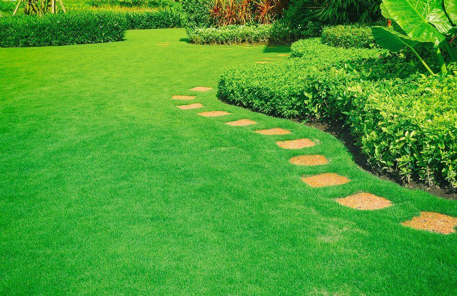 Tactics To Mow The Perfect Lawn