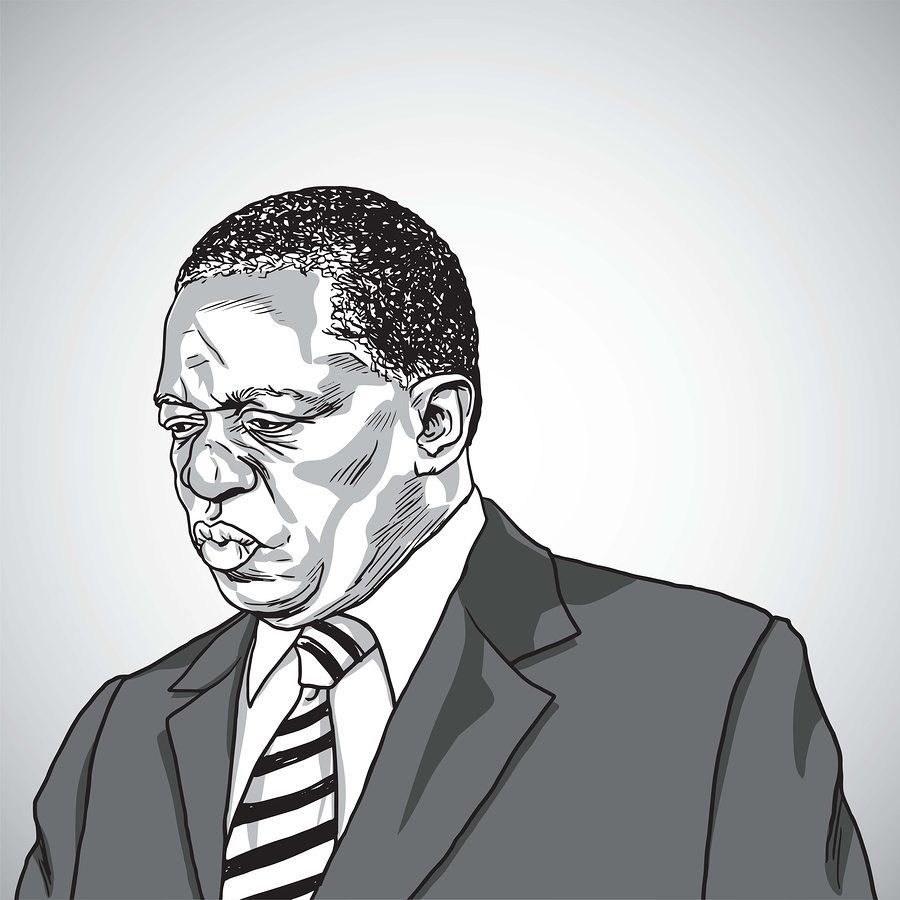 Mnangagwa the President of Zimbabwe