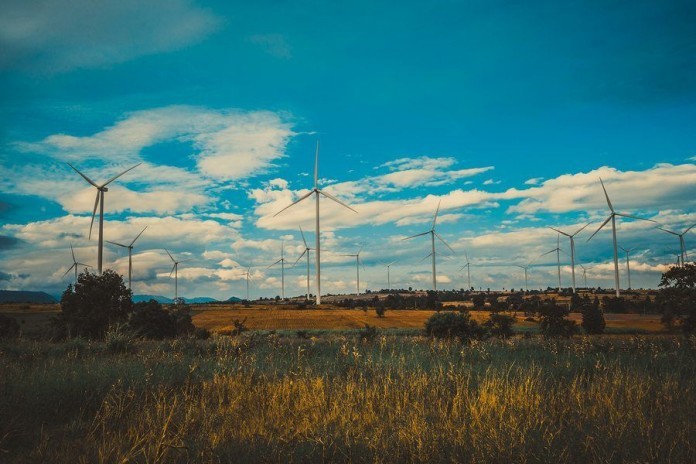 Anti-wind group Waubra Foundation stripped of low-tax status Anti-wind group Waubra Foundation stripped of low-tax status