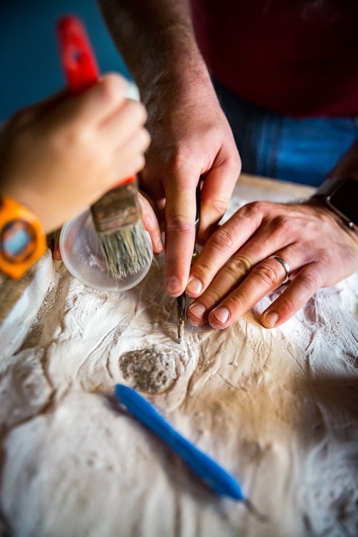 New extinct species discovered in Australia Paleontology fossils discovery