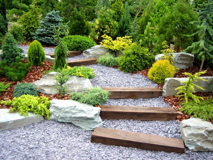 A neat and tidy garden