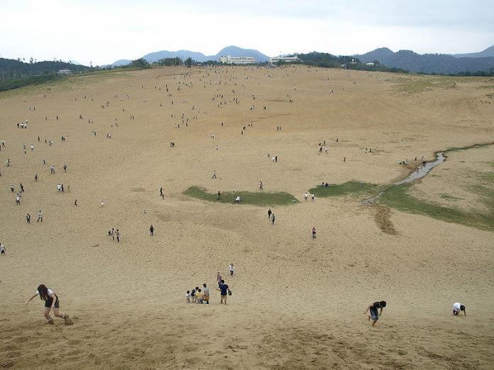 Save the beetle Tottori sand dunes