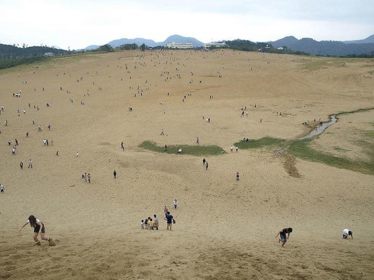 Oasis in Tottori Sand Dunes off-limits to save endangered beetle