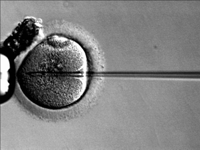 Sperm from deceased partner for baby