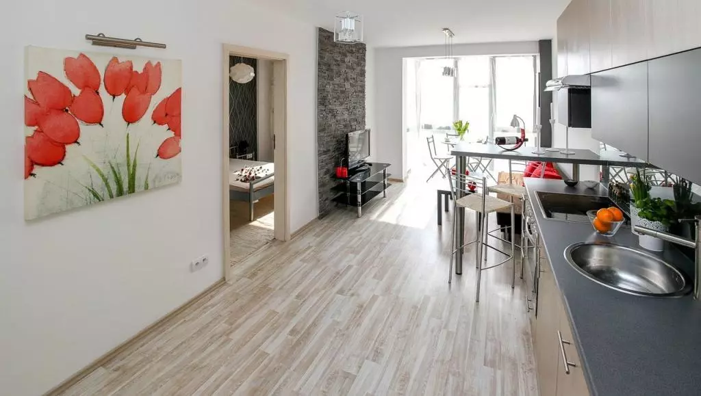 A small apartment space
