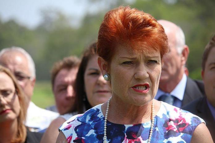 Pauline Hanson Hanson says One Nation isn’t split despite Burston breaking ranks