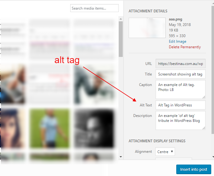 Alt Tag in WordPress