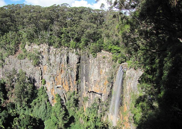 World Heritage listed Gondwana Rainforest