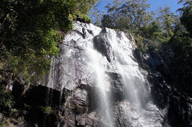 Springbrook National Park