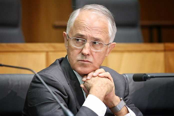 Malcolm Turnbull outlines further NEG changes amid party pressure