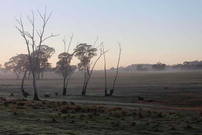 Agriculture Minister says Commonwealth bank isn’t doing enough to combat drought Agriculture Minister says Commonwealth bank isn’t doing enough to combat drought