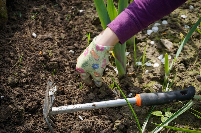 garden working