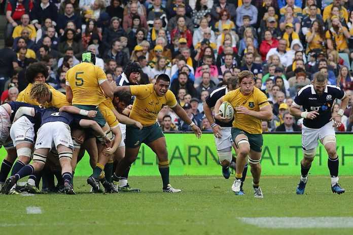 Tongan Thor to start in revamped Wallabies pack Tongan Thor to start in revamped Wallabies pack