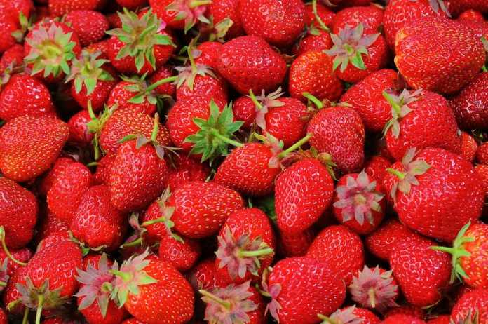 Prime Minister announces tough stance on fruit tampering Prime Minister announces tough stance on fruit tampering