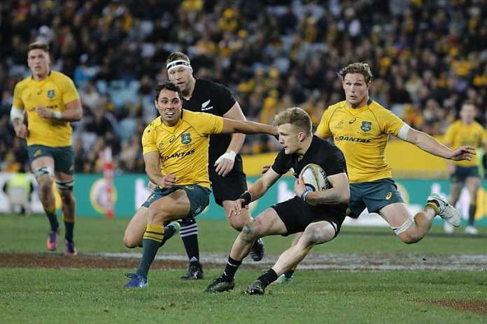Wallabies try to plug holes as All Blacks prepare for the kill Wallabies try to plug holes as All Blacks prepare for the kill