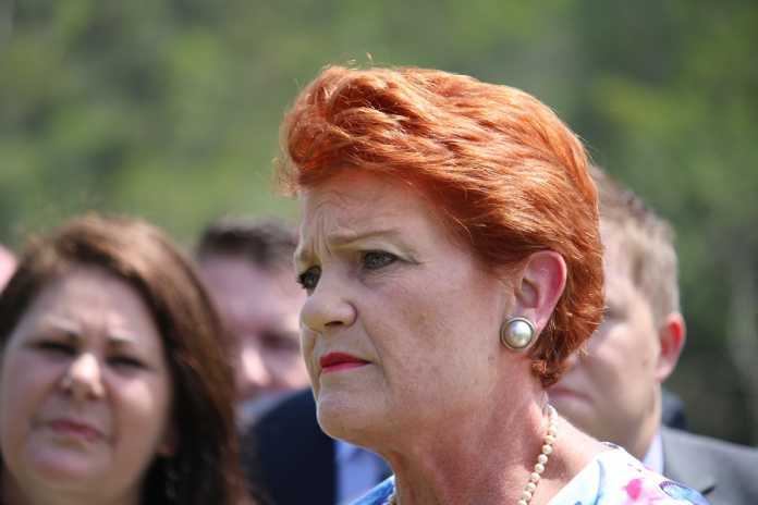 PM regrets Coalition support for Hanson’s “OK to be white” motion
