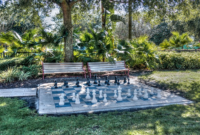 Giant chess