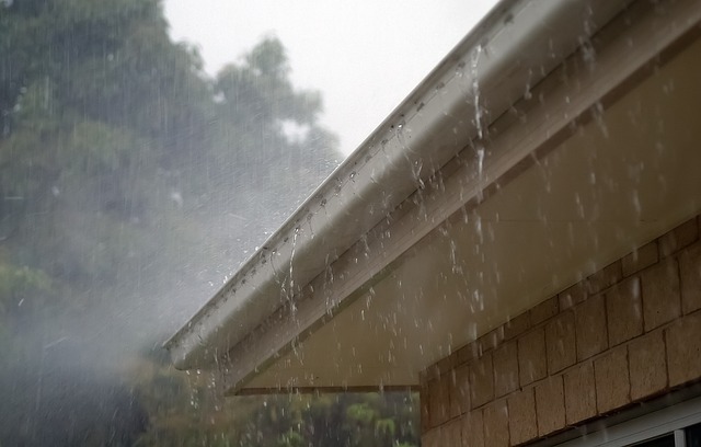 Seamless gutters or sectional drains: which should you choose?