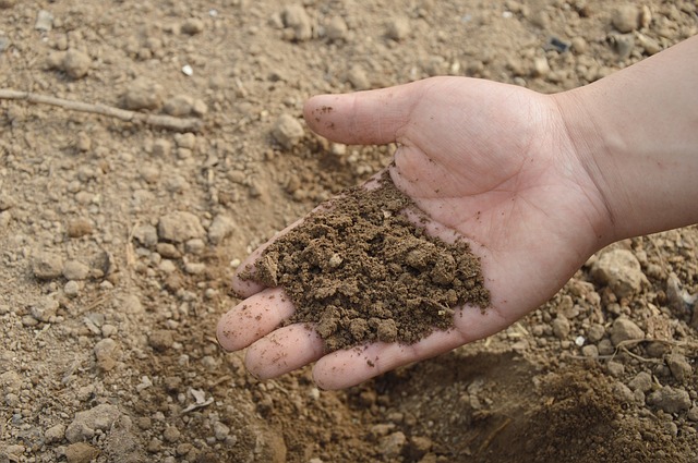 Have the right soils