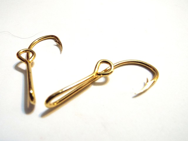 Fish hook