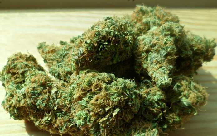 How legalising marijuana can boost the real estate sector How legalising marijuana can boost the real estate sector