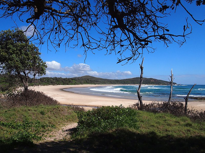 Shelley Beach