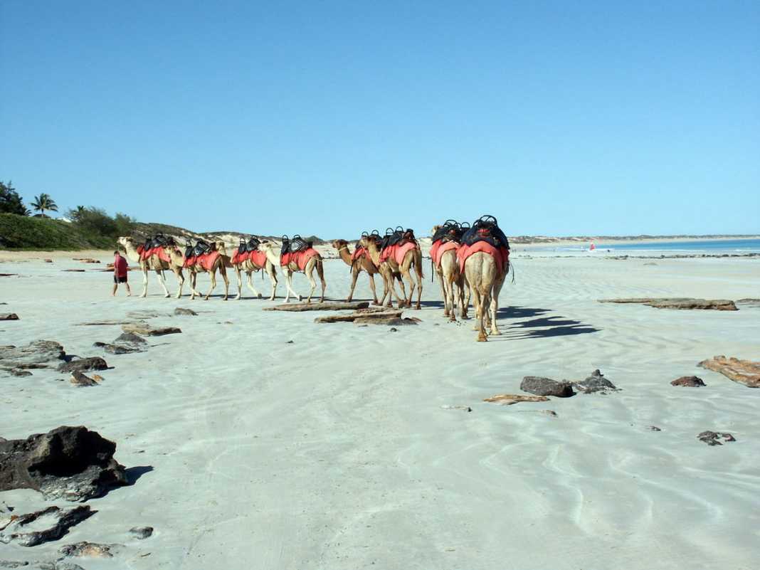 Things to do in Broome