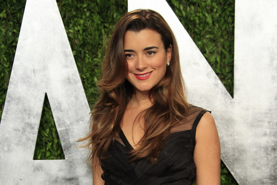 Latest episode of NCIS suggests Ziva may be alive