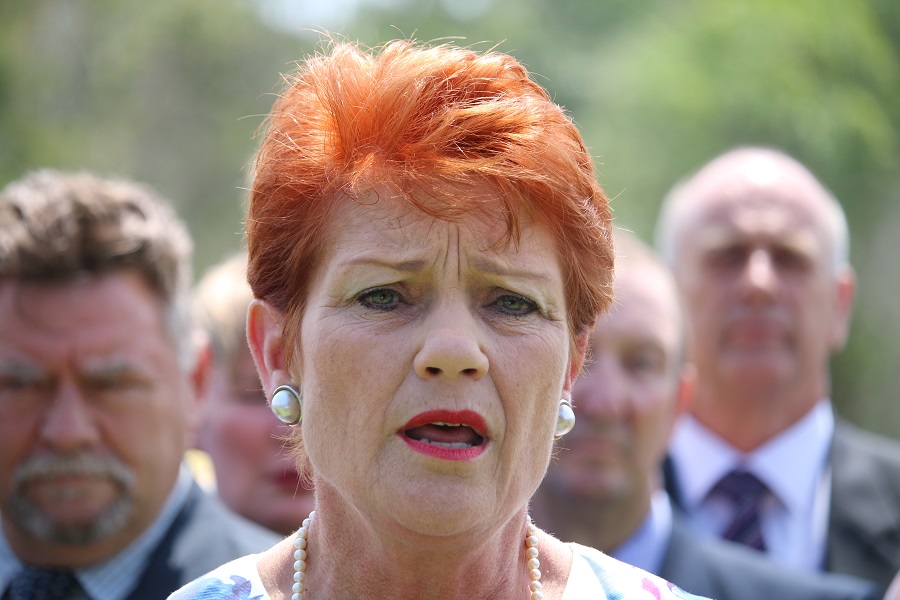 Pauline Hanson accused of sexual harassment by former colleague
