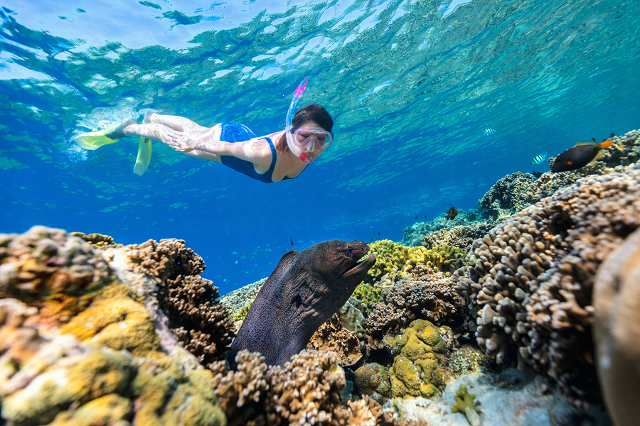 Underwater photo of woman snorkeling in a clear tropical water at coral reef observing moray eel