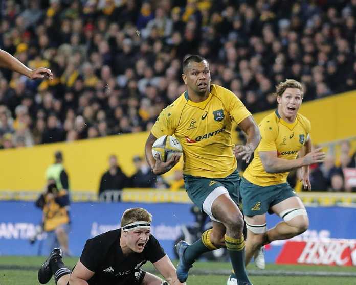 Michael Cheika ascertains control of Wallabies after horror year Michael Cheika ascertains control of Wallabies after horror year