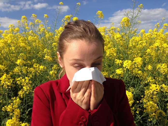 Allergies are on the rise in Australia and there's no answer Allergies are on the rise in Australia and there's no answer