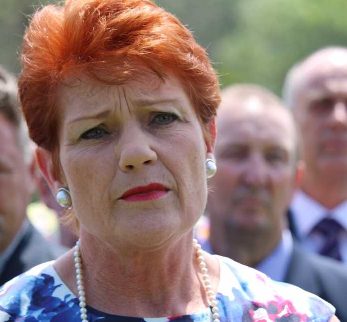 Pauline Hanson’s One Nation under fire for seeking NRA funding Pauline Hanson’s One Nation under fire for seeking NRA funding