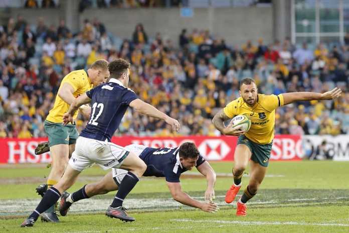 Is Quade Cooper in line for a recall to the Wallabies? Is Quade Cooper in line for a recall to the Wallabies?