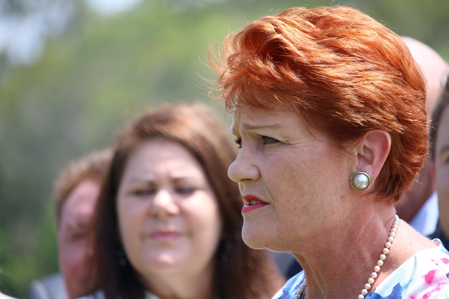 Pauline Hanson claims Al Jazeera footage was maliciously edited
