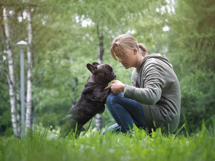 The girl talks to the dog. Nature green grass beautiful