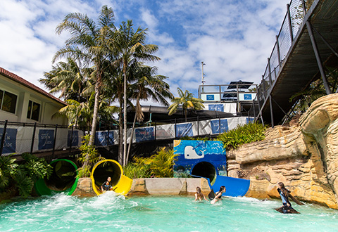 Manly Surf n Slide