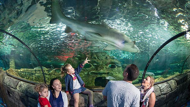 SEA LIFE Sydney Aquarium