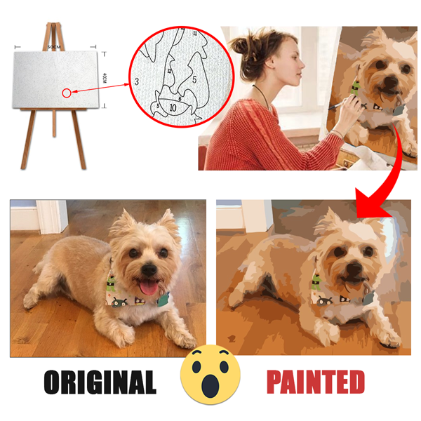 Get started in painting from photos with a custom paint by numbers kit