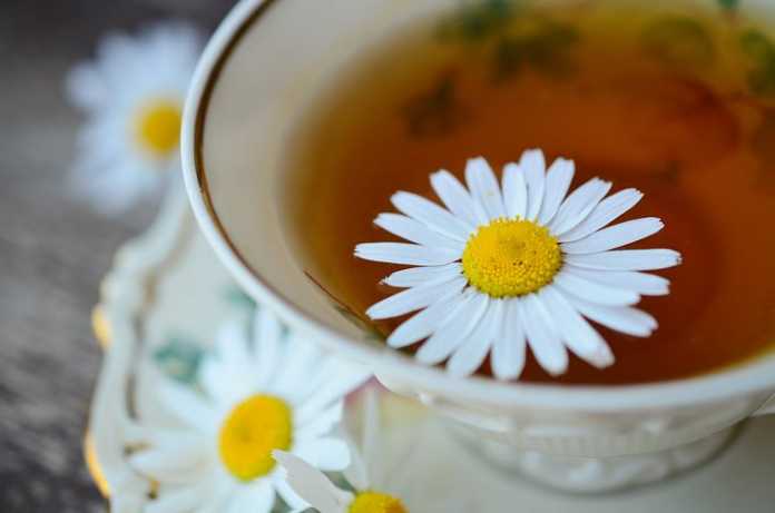 Best Naturopathic Practitioners in Hobart Chamomile tea as a herbal medicine. Source: Pixabay