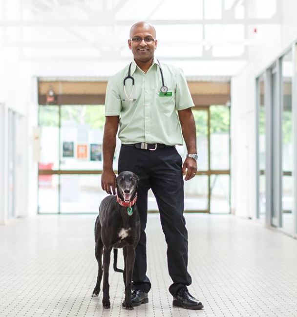 Dr Raj Wicks - The Dog Clinic Hobart