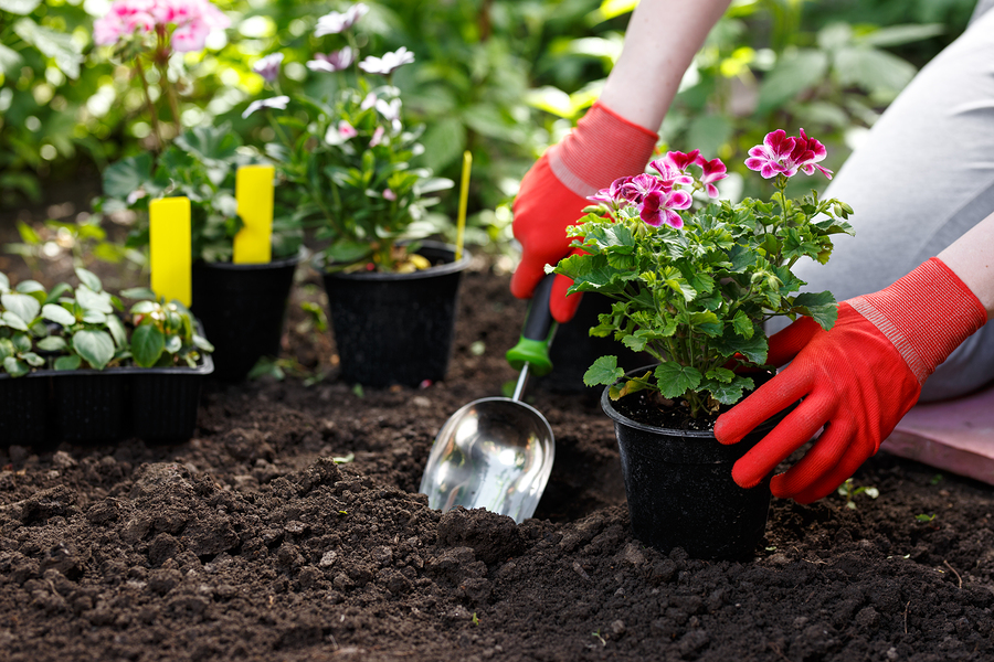 gardening at your free time