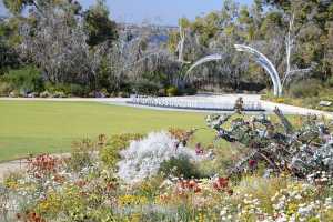 King's Park and Botanic Garden