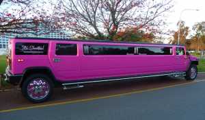 Showtime Limos