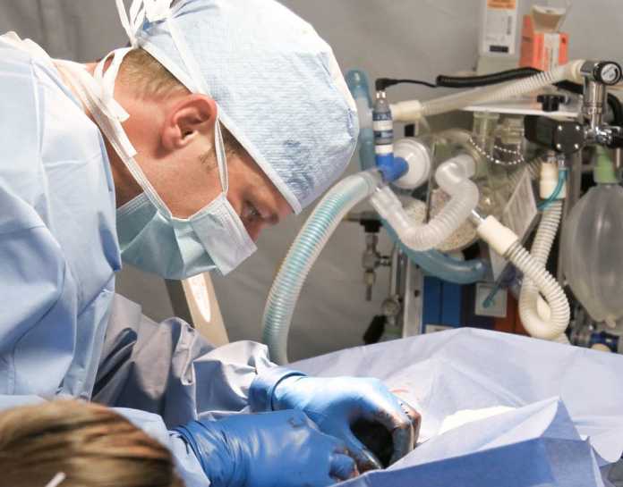 Best Surgeons in Hobart Best Surgeons in Hobart