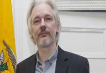 Julian Assange found guilty of bail breach, sentenced to 50 weeks jail